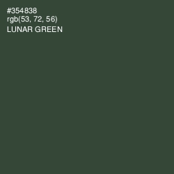 #354838 - Lunar Green Color Image